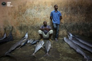 Traders wait to sell their fish inside Mogadishu's fish market in the Xamar Weyne district of the Somali capital