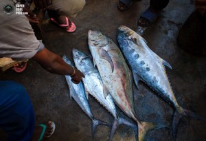 SOMALIA-FISHING-AMISOM