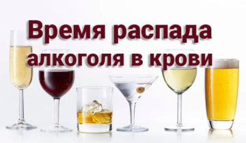 Время распада алкоголя в крови